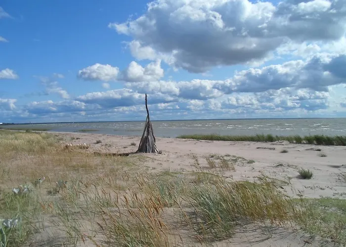 Orman Evi Tihase Puhkemajake *